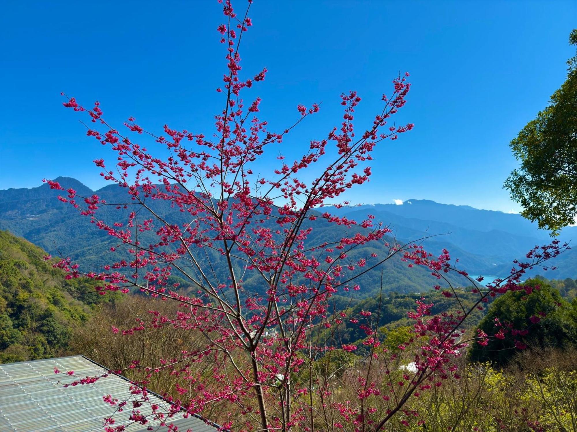 Tian Hsiang Tea B&B Renai Εξωτερικό φωτογραφία